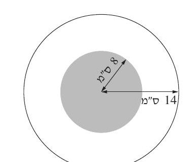 סרטוט העוגה: עיגול שוקולד ברדיוס 8 בתוך עיגול ברדיוס 14 משאלה 3