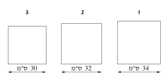 שלושה מגשים ריבועיים: 30, 32 ו־34 ס״מ משאלה 3