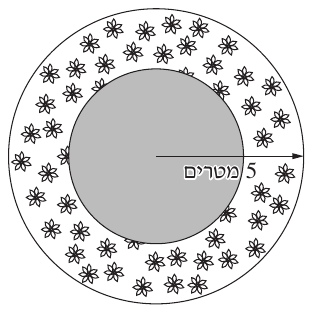 כיכר עגולה ברדיוס 5 מטרים ובמרכזה עיגול דשא אפור