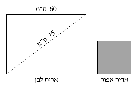 סרטוט האריח הלבן (מלבן עם צלע 60 ס"מ ואלכסון 75 ס"מ) והאריח האפור (ריבוע)