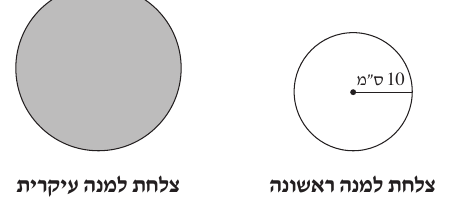 סרטוט הצלחת הלבנה והצלחת האפורה משאלה 4
