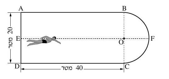 סרטוט בריכת השחייה: מלבן וחצי עיגול משאלה 3