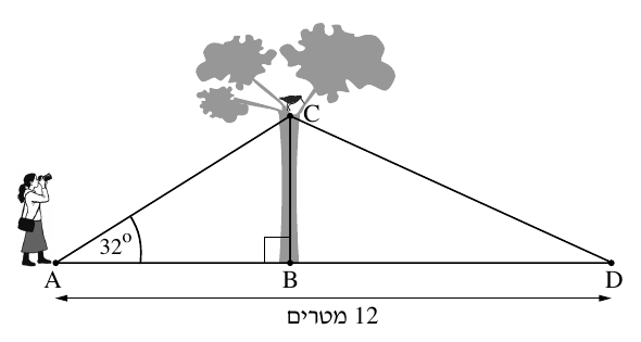 סרטוט העץ, הציפור וסמדר משאלה 4