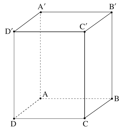 סרטוט התיבה ABCDA'B'C'D' משאלה 2 בשאלון